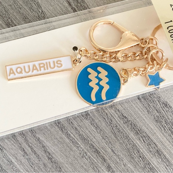 Modern Expressions Aquarius Zodiac Keychain - Picture 2 of 3